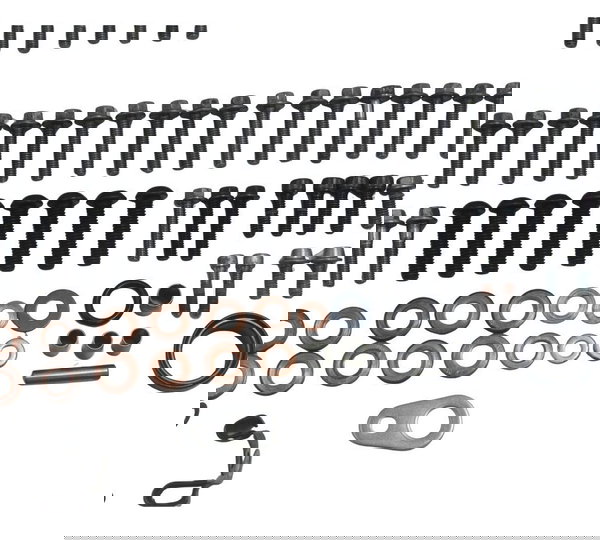 Kit Parafusos Motor Kawasaki Ninja Zx 10r 16-21 Original