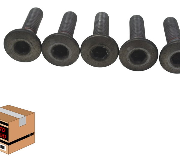 Kit Parafuso Freio Dianteir Kawasaki Ninja Zx 10r 16-21 Orig