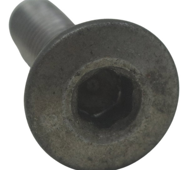 Parafuso Freio Dianteiro Kawasaki Ninja Zx 10r 16-21 Orig