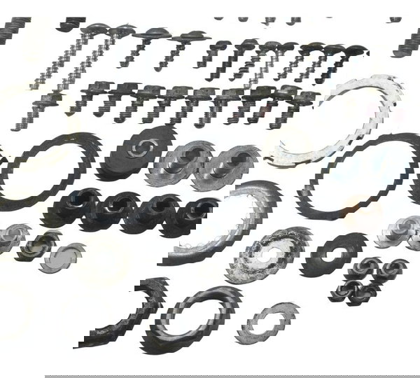 Kit Parafusos Diversos Kawasaki Ninja Zx 10r 16-21 Original