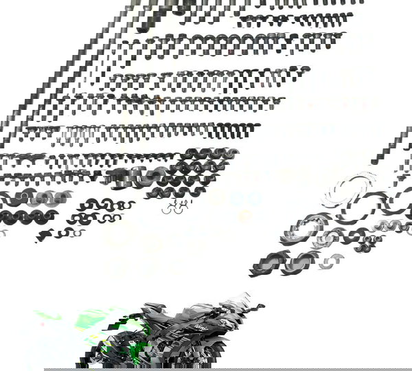 Kit Parafusos Diversos Kawasaki Ninja Zx 10r 16-21 Original