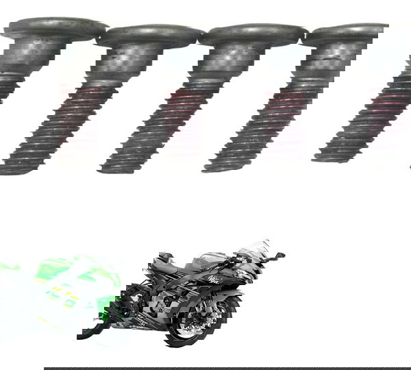 Kit Parafuso Freio Tras Kawasaki Ninja Zx 10r 16-21 Original