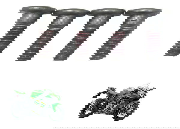 Kit Parafuso Freio Tras Kawasaki Ninja Zx 10r 16-21 Original