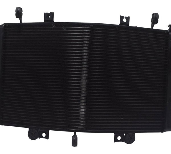 Radiador Suzuki Gsx-r 1300 Hayabusa 09-19 Original