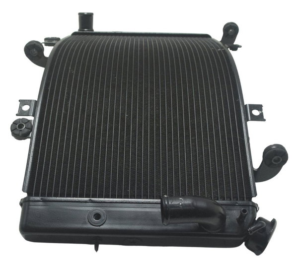 Radiador Suzuki Gsx-r 1300 Hayabusa 09-19 Original