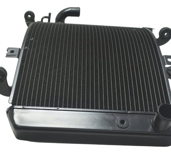 Radiador Suzuki Gsx-r 1300 Hayabusa 09-19 Original