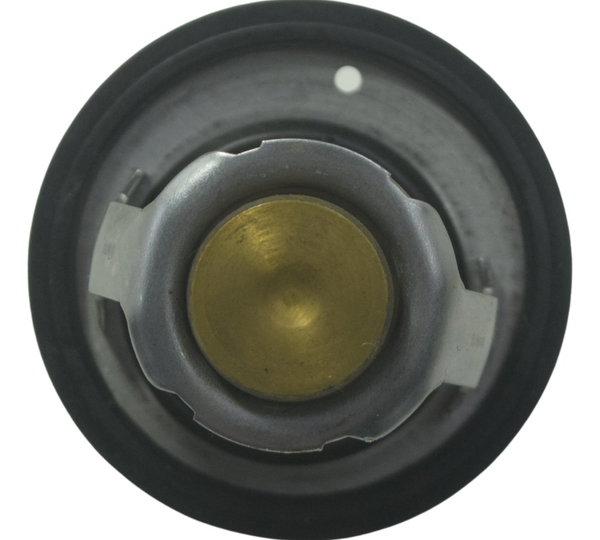 Válvula Termostática Suzuki Gsx-r 1300 Hayabusa 09-19 Orig