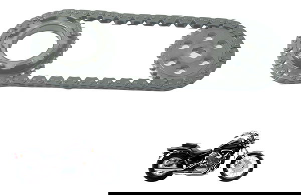 Engrenagem Corrente Bomba Óleo Honda Vt Shadow 600 C 95-05