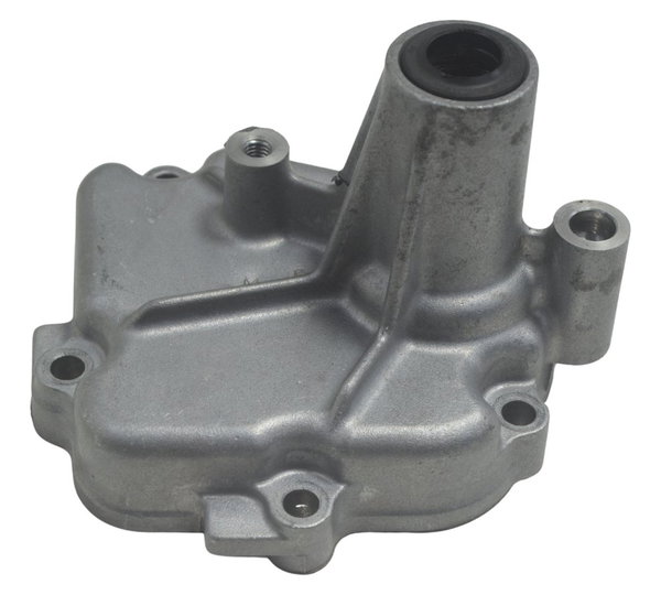 Tampa Eixo Pedal Suzuki Gsx-r 1300 Hayabusa 09-19 Original