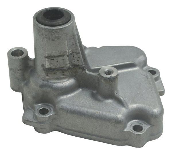 Tampa Eixo Pedal Suzuki Gsx-r 1300 Hayabusa 09-19 Original