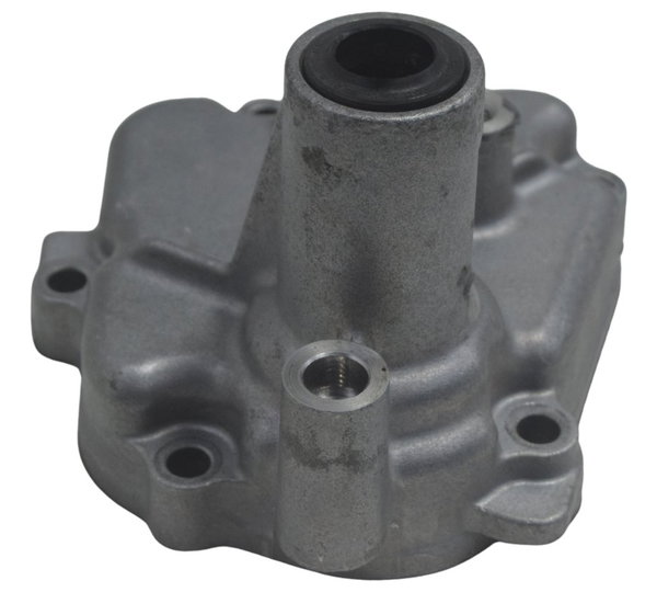 Tampa Eixo Pedal Suzuki Gsx-r 1300 Hayabusa 09-19 Original