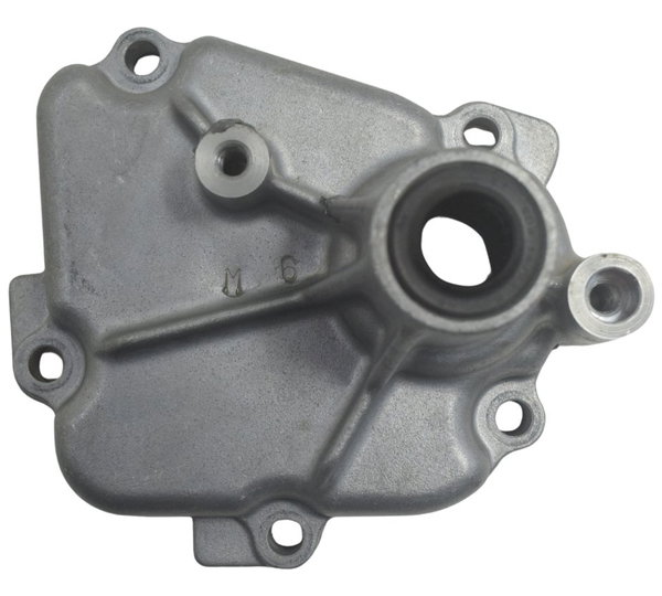 Tampa Eixo Pedal Suzuki Gsx-r 1300 Hayabusa 09-19 Original