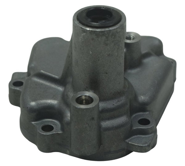 Tampa Eixo Pedal Câmbio Suzuki Gsx-r 1300 Hayabusa 09-19