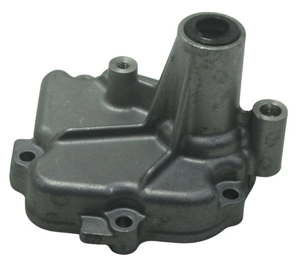 Tampa Eixo Pedal Câmbio Suzuki Gsx-r 1300 Hayabusa 09-19