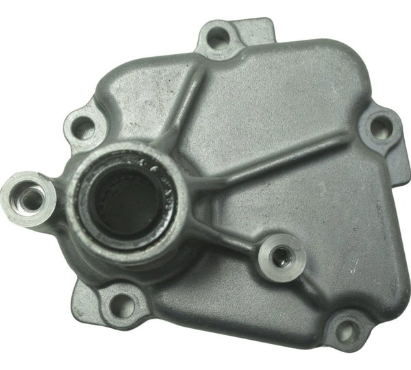 Tampa Eixo Pedal Câmbio Suzuki Gsx-r 1300 Hayabusa 09-19