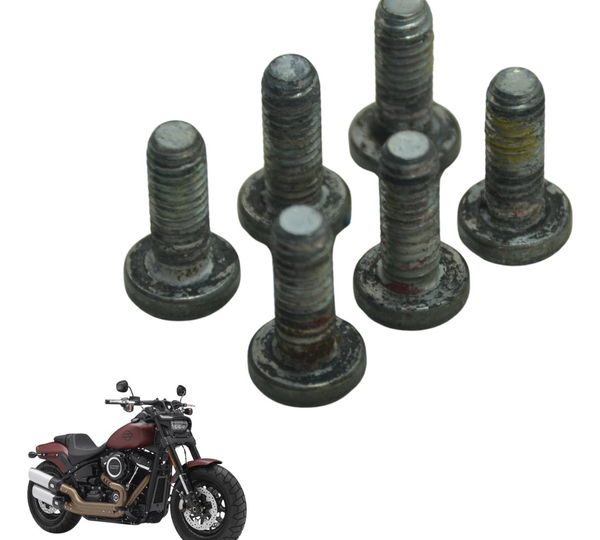 Jogo Parafuso Disco Diant Harley Fat Bob M8 Fxfb 18-20 Orig
