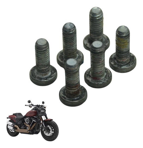 Jogo Parafuso Disco Diant Harley Fat Bob M8 Fxfb 18-20 Orig