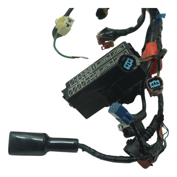 Chicote Principal Honda Cbr 600 Rr 07-14 Original