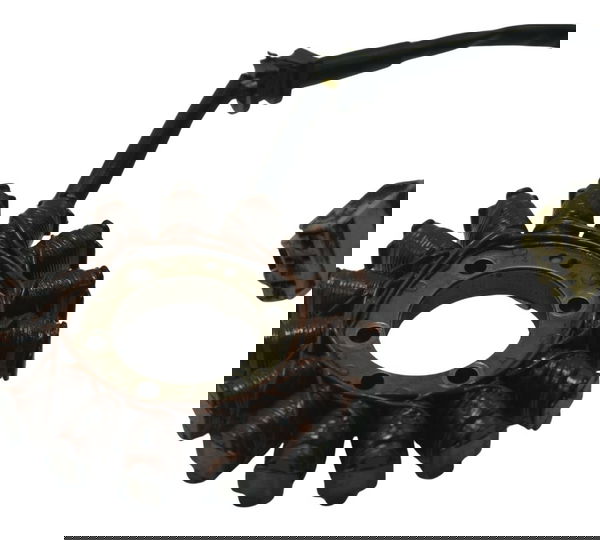 Estator Honda Cbr 600 Rr 07-14 Original