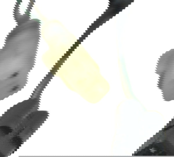 Chicote Painel Honda Cbr 600 Rr 07-14 Original