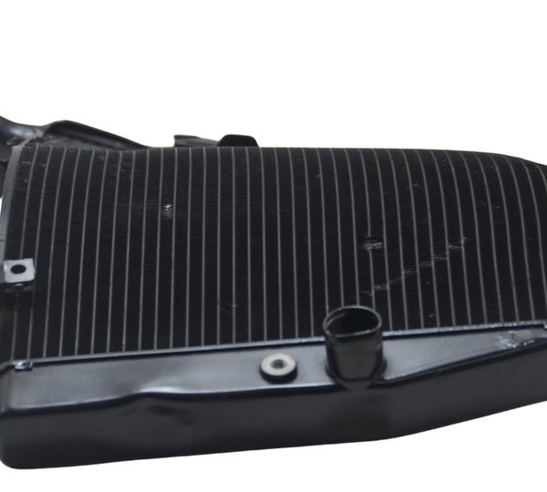 Radiador C/ Avaria Honda Cbr 600 Rr 07-14 Original