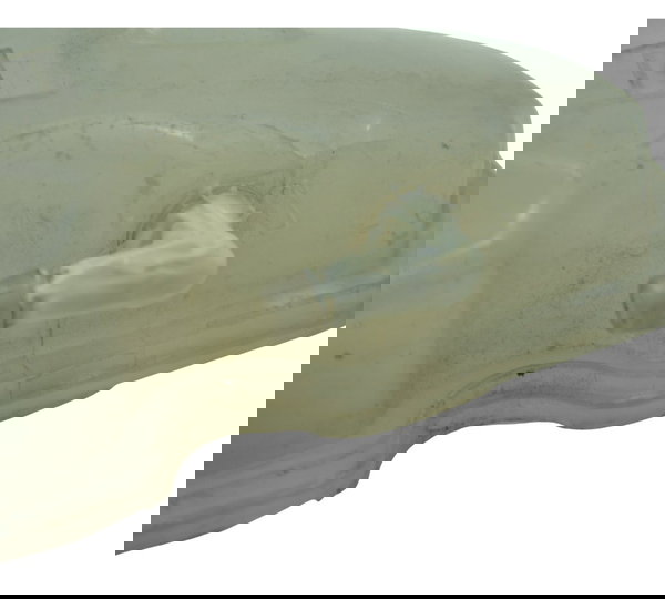 Reservatório Água C/ Detalhes Bmw S 1000 Rr 15-19 Original