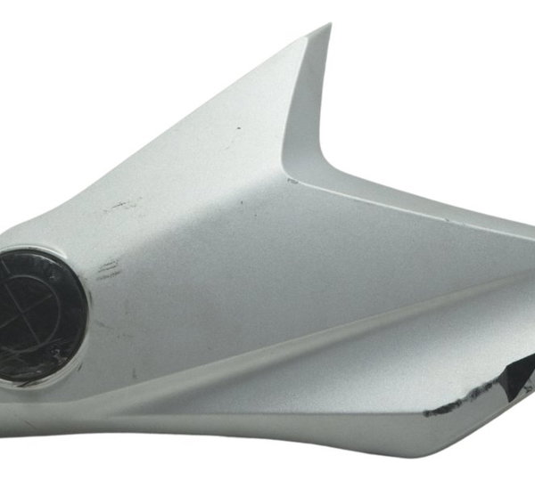 Acabamento Aba Tanque Dir C/ Detalh Bmw G 310 Gs 17-20 Orig