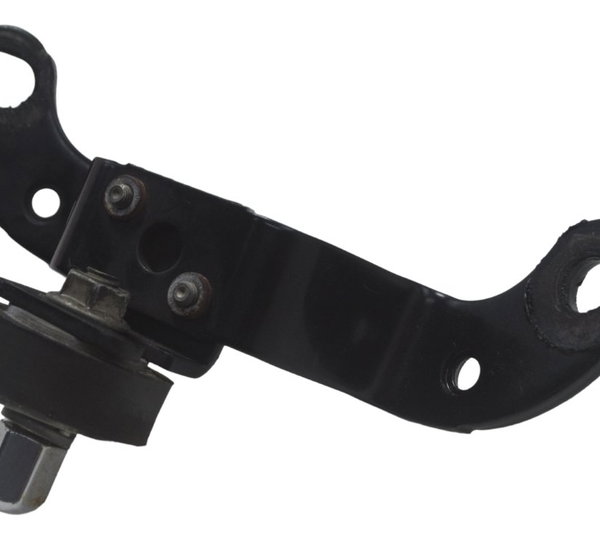 Suporte Buzina Harley Xl 1200c 11-13 Original