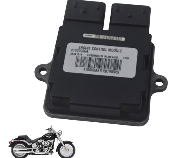 Modulo Ecm Harley Softail Fat Boy 12-15 Original