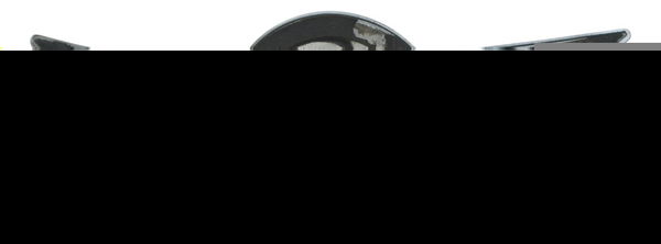 Emblema Tanque Dir C/detal Harley Softail Fat Boy 12-15 Orig Prateado