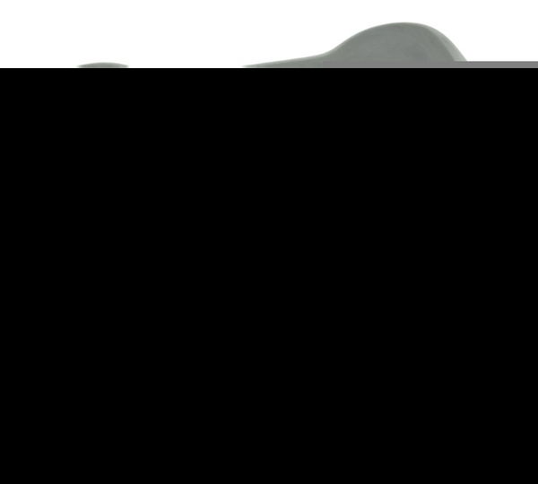 Capa Bobina Ignição Harley Softail Fat Boy 12-15 Original