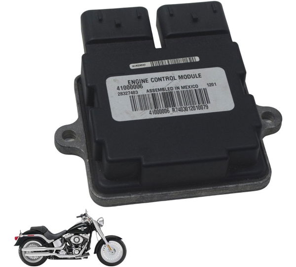 Modulo Ecm Harley Softail Fat Boy 12-15 Original