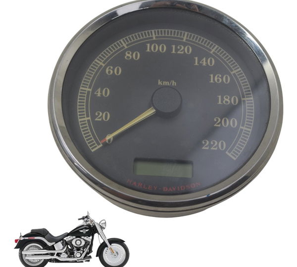 Painel Harley Softail Fat Boy 12-15 Original