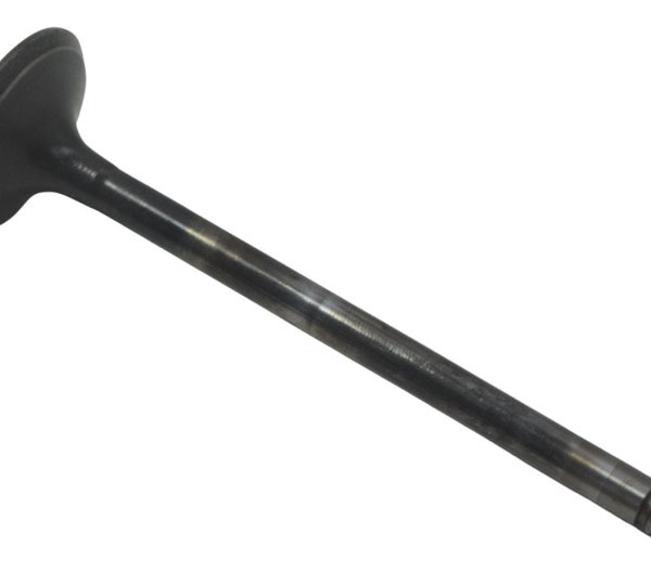 Válvula Admissão Cabeçote Harley Softail Fat Boy 12-15 Orig