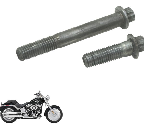 Par Parafusos Pinça Diant Harley Softail Fat Boy 12-15 Orig