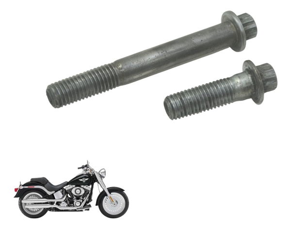 Par Parafusos Pinça Diant Harley Softail Fat Boy 12-15 Orig