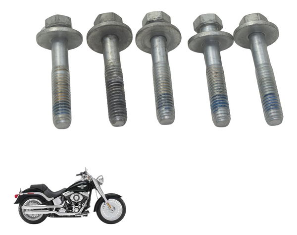 Kit Parafuso Polia Harley Softail Fat Boy 12-15 Original