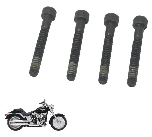 Kit Parafuso Estator Harley Softail Fat Boy 12-15 Original