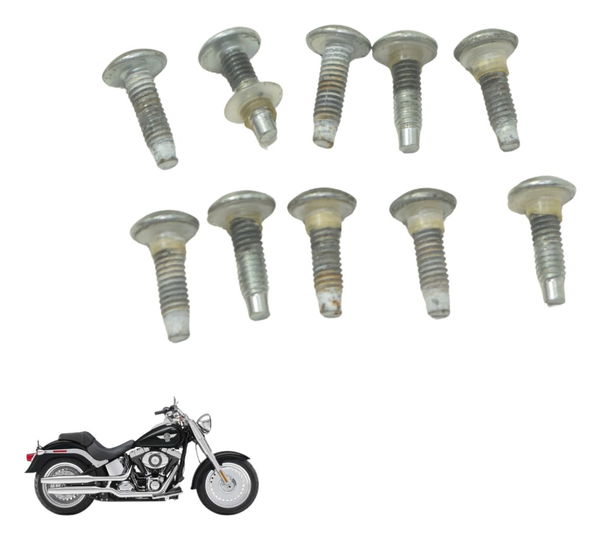 Kit Parafuso Fixação Bomba Harley Softail Fat Boy 12-15 Orig