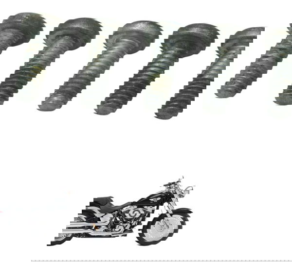 Kit Parafuso Disco Diant Harley Softail Fat Boy 12-15 Orig