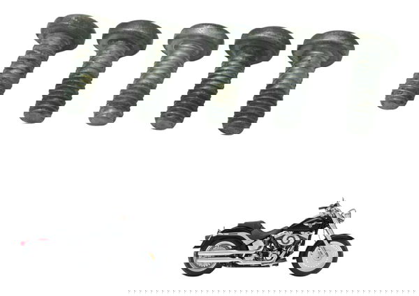 Kit Parafuso Disco Diant Harley Softail Fat Boy 12-15 Orig