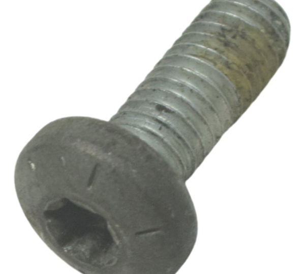 Parafuso Disco Freio Diant Harley Softail Fat Boy 12-15 Orig