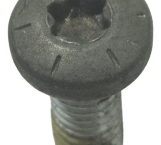 Parafuso Disco Freio Diant Harley Softail Fat Boy 12-15 Orig