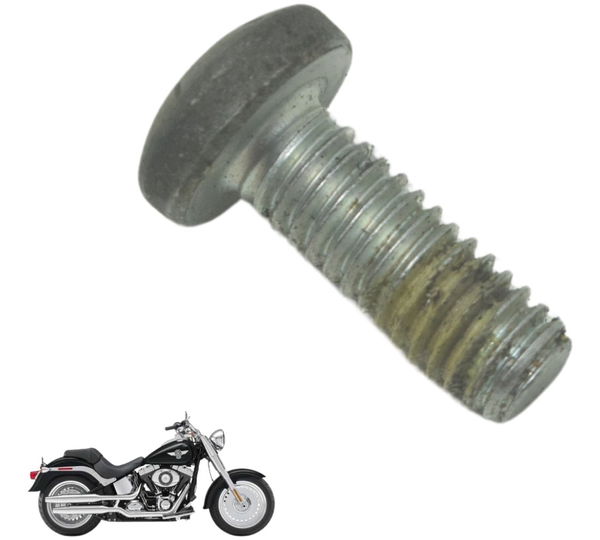 Parafuso Disco Freio Diant Harley Softail Fat Boy 12-15 Orig