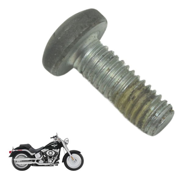 Parafuso Disco Freio Diant Harley Softail Fat Boy 12-15 Orig