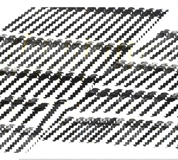 Kit Parafuso Motor Harley Softail Fat Boy 12-15 Original