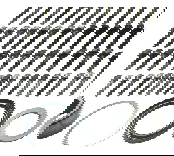 Kit Parafuso Motor Harley Softail Fat Boy 12-15 Original