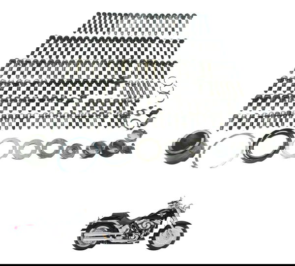 Kit Parafuso Motor Harley Softail Fat Boy 12-15 Original