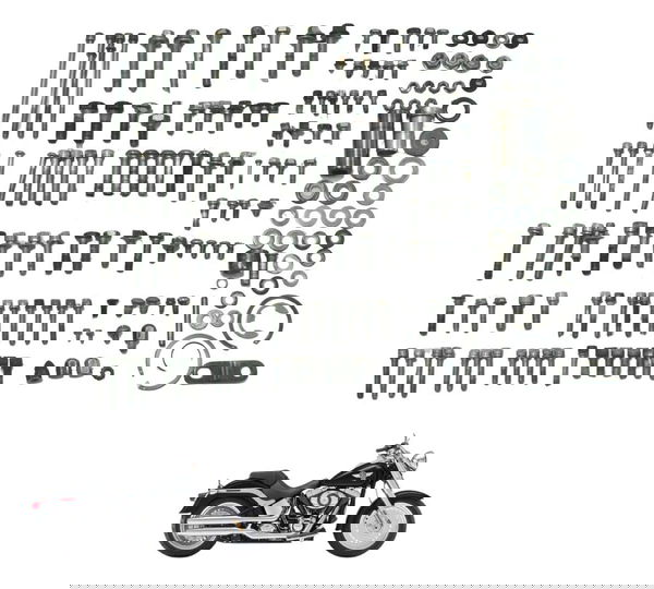 Parafusos Diversos Harley Softail Fat Boy 12-15 Original