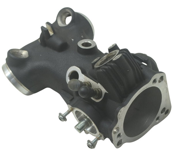 Corpo Injeção Harley Softail Fat Boy 12-15 Original